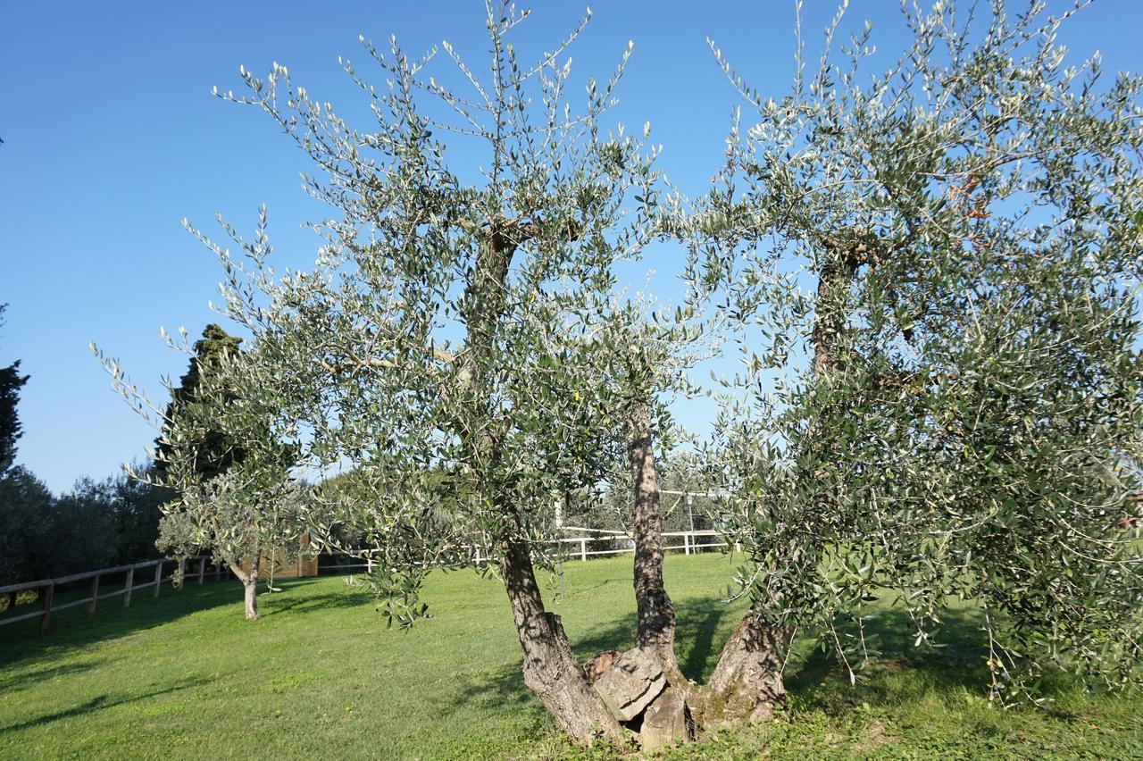 Vila Residenza Piandaccoli Lastra a Signa Exteriér fotografie